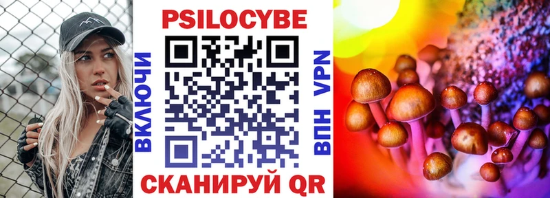 darknet наркотические препараты  Калуга  Галлюциногенные грибы прущие грибы  закладка 